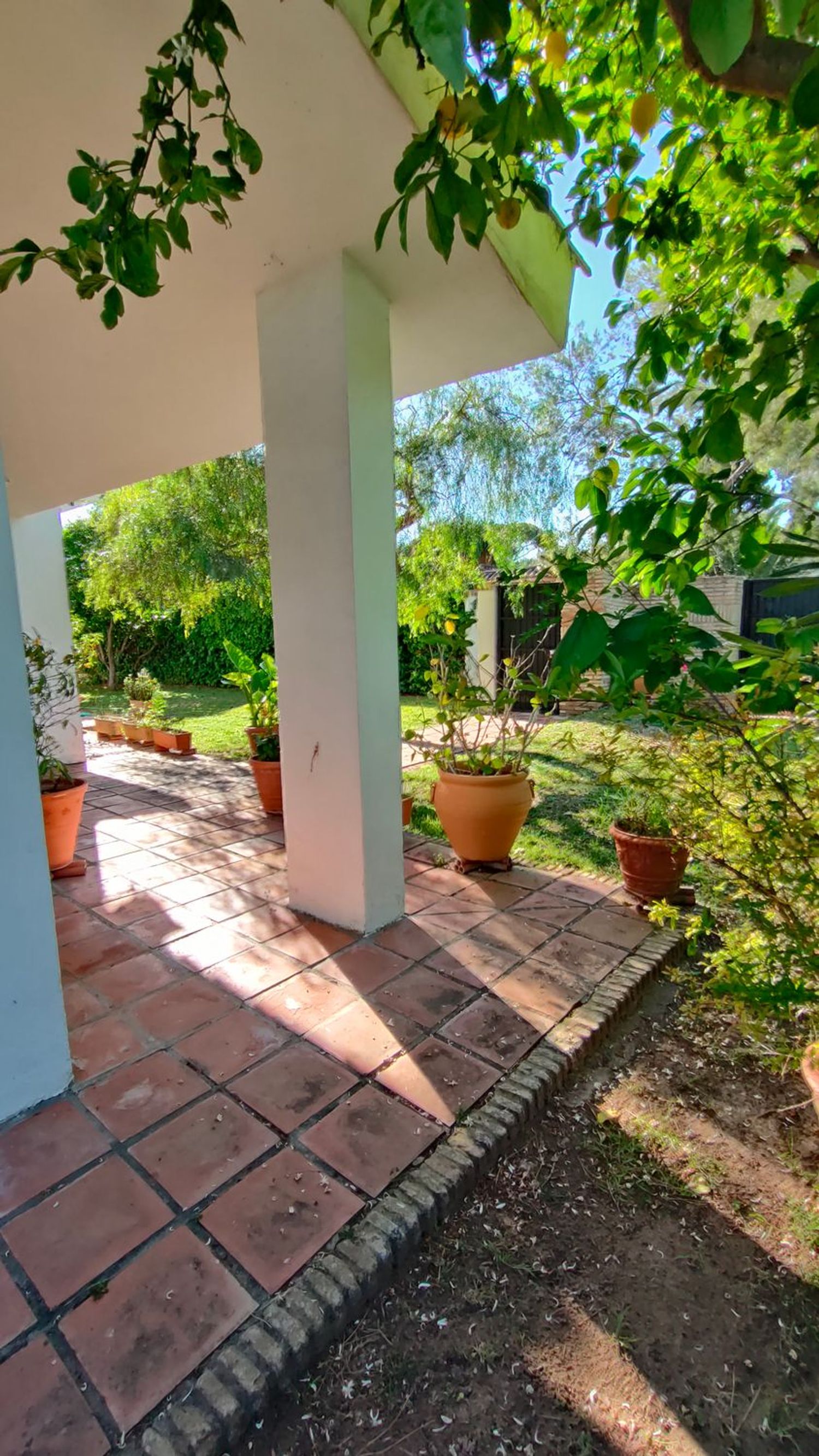 Casa o chalet independiente en Calle Abeto, 18, Vistahermosa - Foto 3