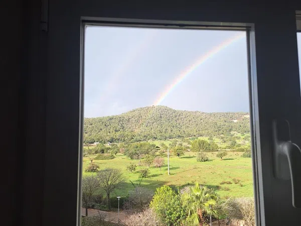 Piso en Palmanova - Foto 25