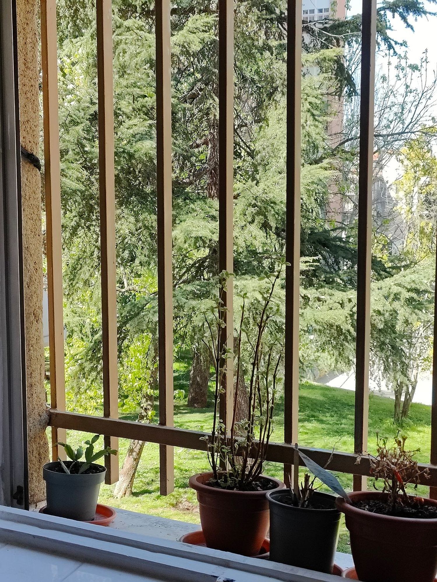 Piso en calle de San Magín, 15 - Foto 47