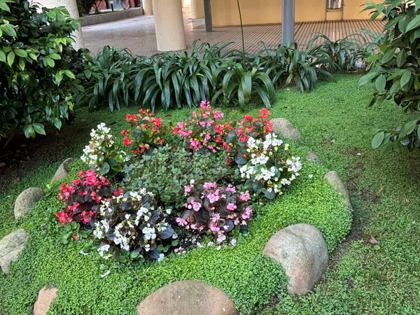 Piso en Calle Ibâibide, 32, Santa Ana - Foto 2