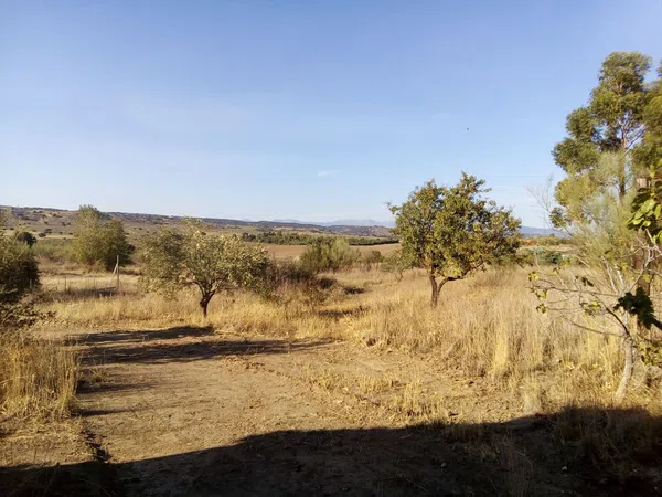 Finca rústica en camino de las laderas, 45 - Foto 14