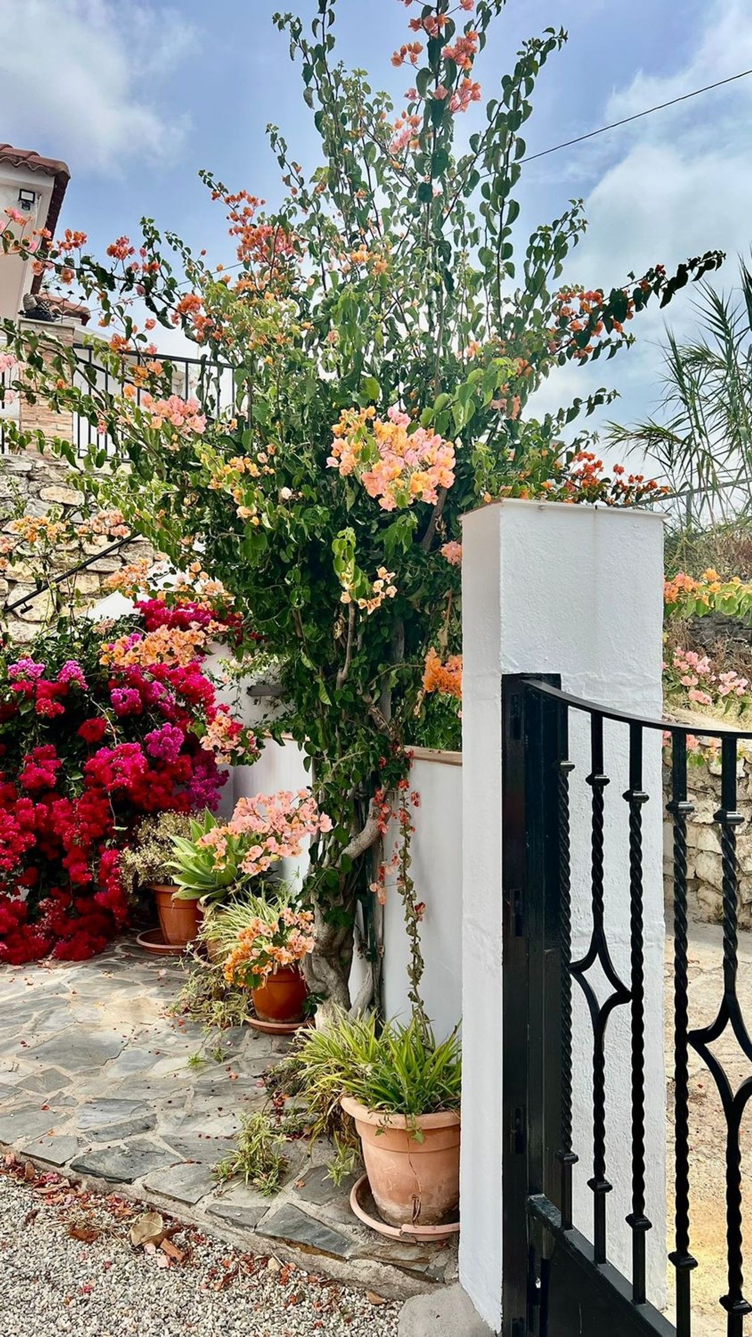 Cortijo en Cortijo en Haza Mora s/n - Foto 24