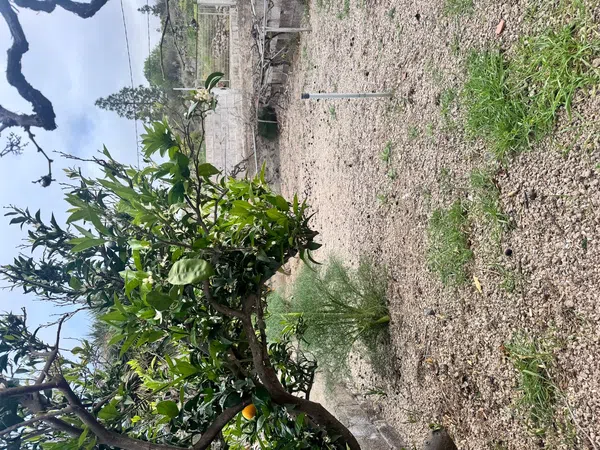Casa terrera en Calle el Charco Frío, 7 - Foto 25