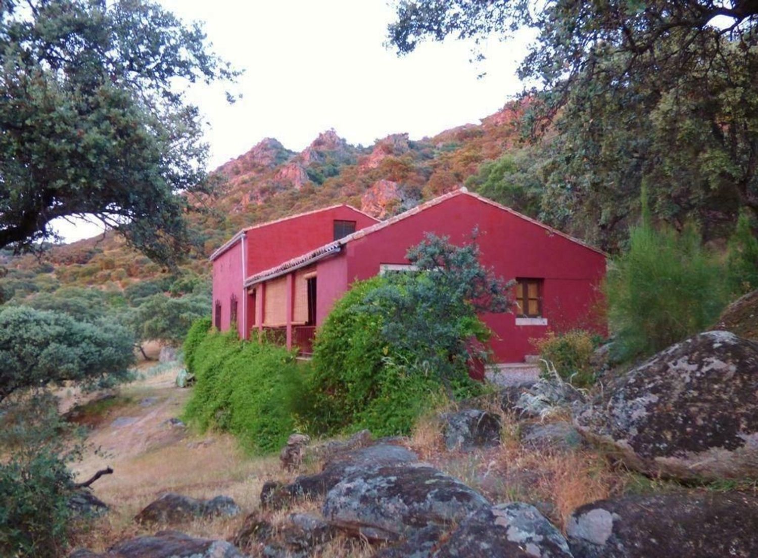 Finca rústica en Carretera Albalá del Caudillo s/n - Foto 3
