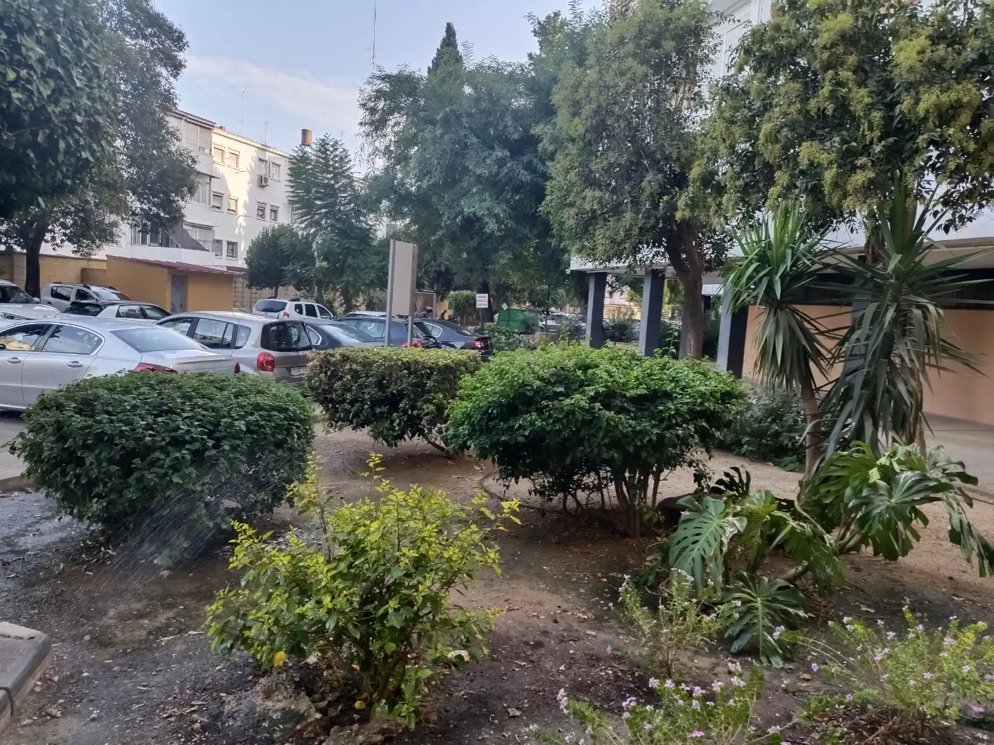 Piso en  Avenida de la Cruz del Campo 33C - Foto 4