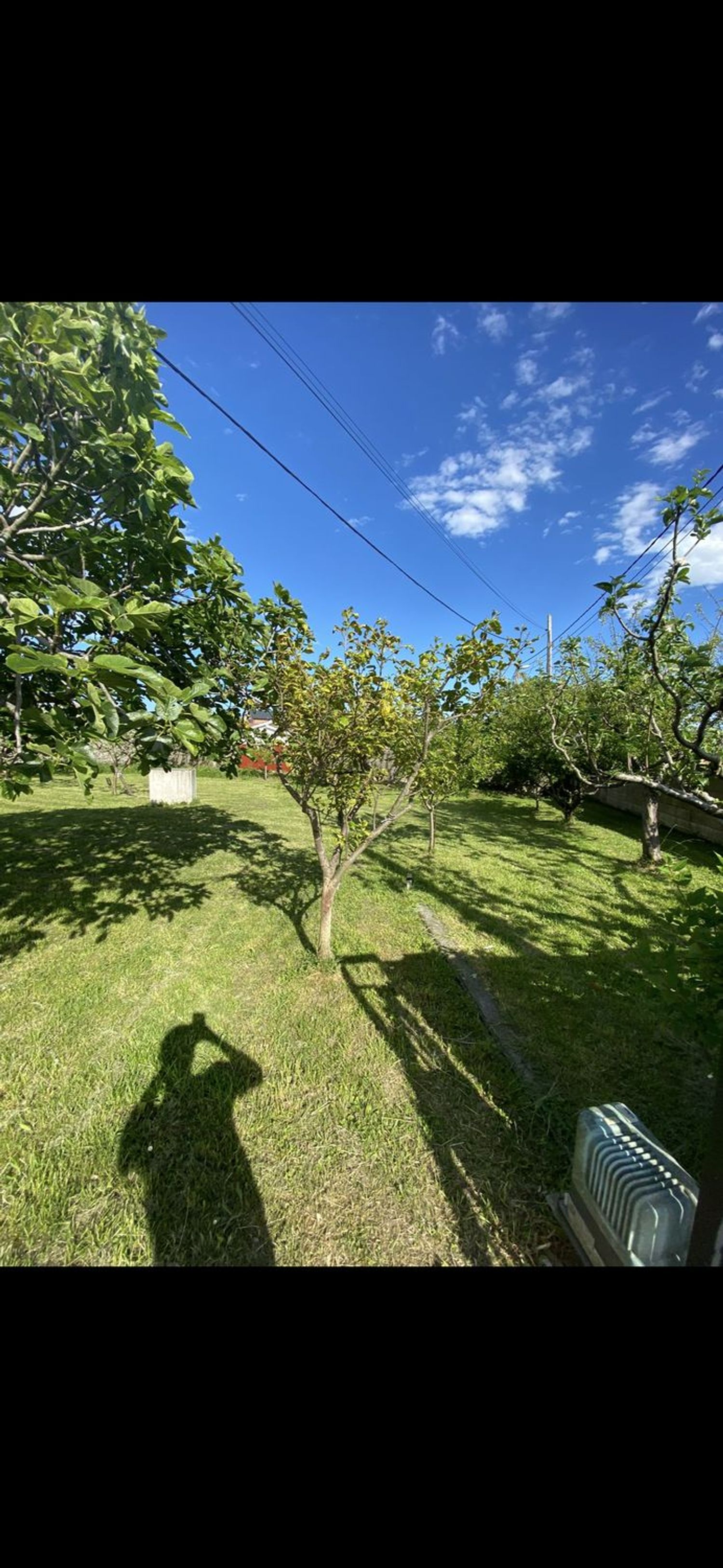 Casa o chalet independiente en Avenida Marqués de Valdecilla, 133, Soto de la Marina, Soto de la Marina - Foto 3