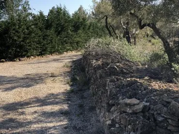 Finca rústica en  Passeig de I'Almadrava 13 - Foto 8