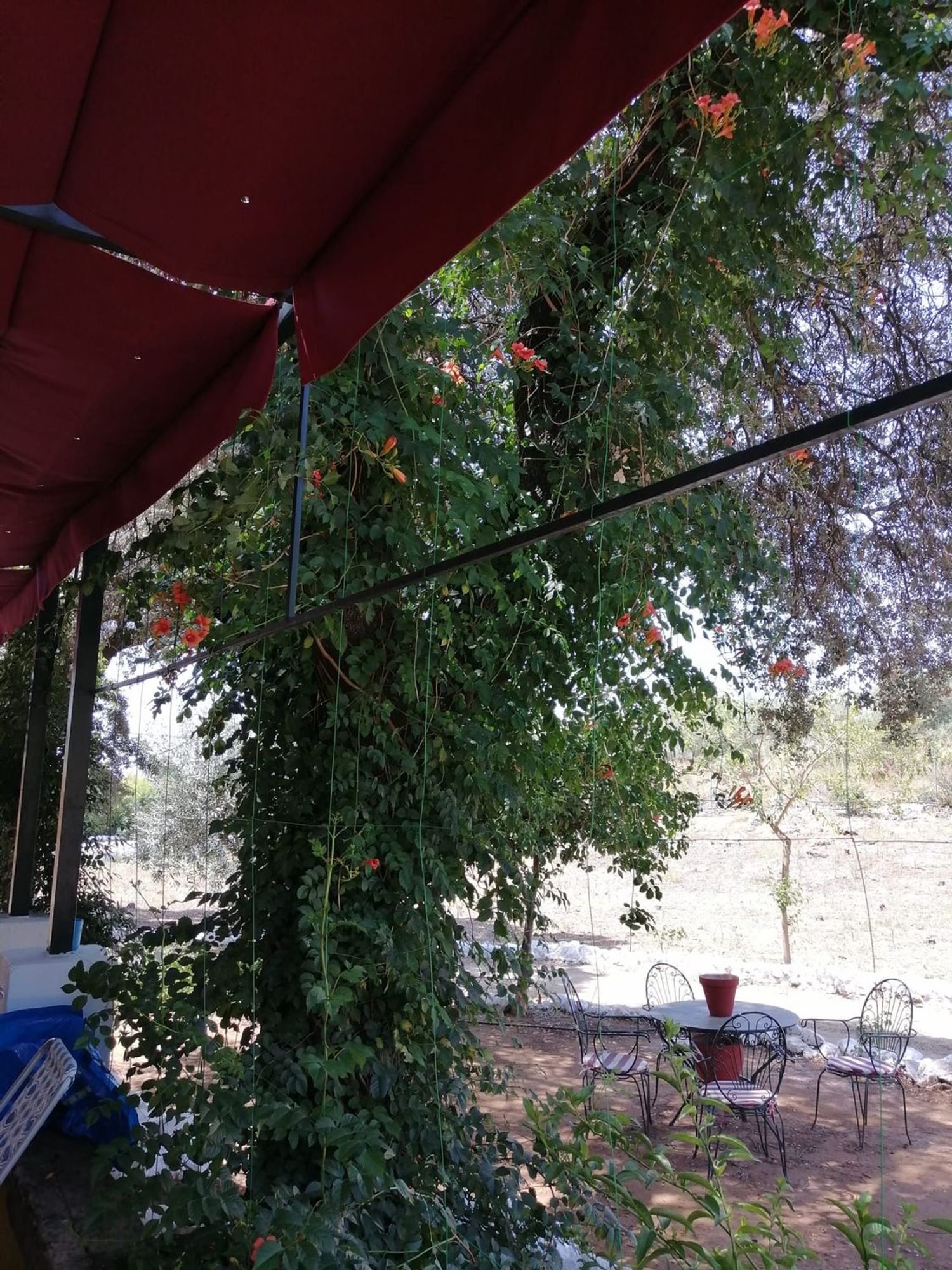 Finca rústica en Calle Rocadura s/n - Foto 2