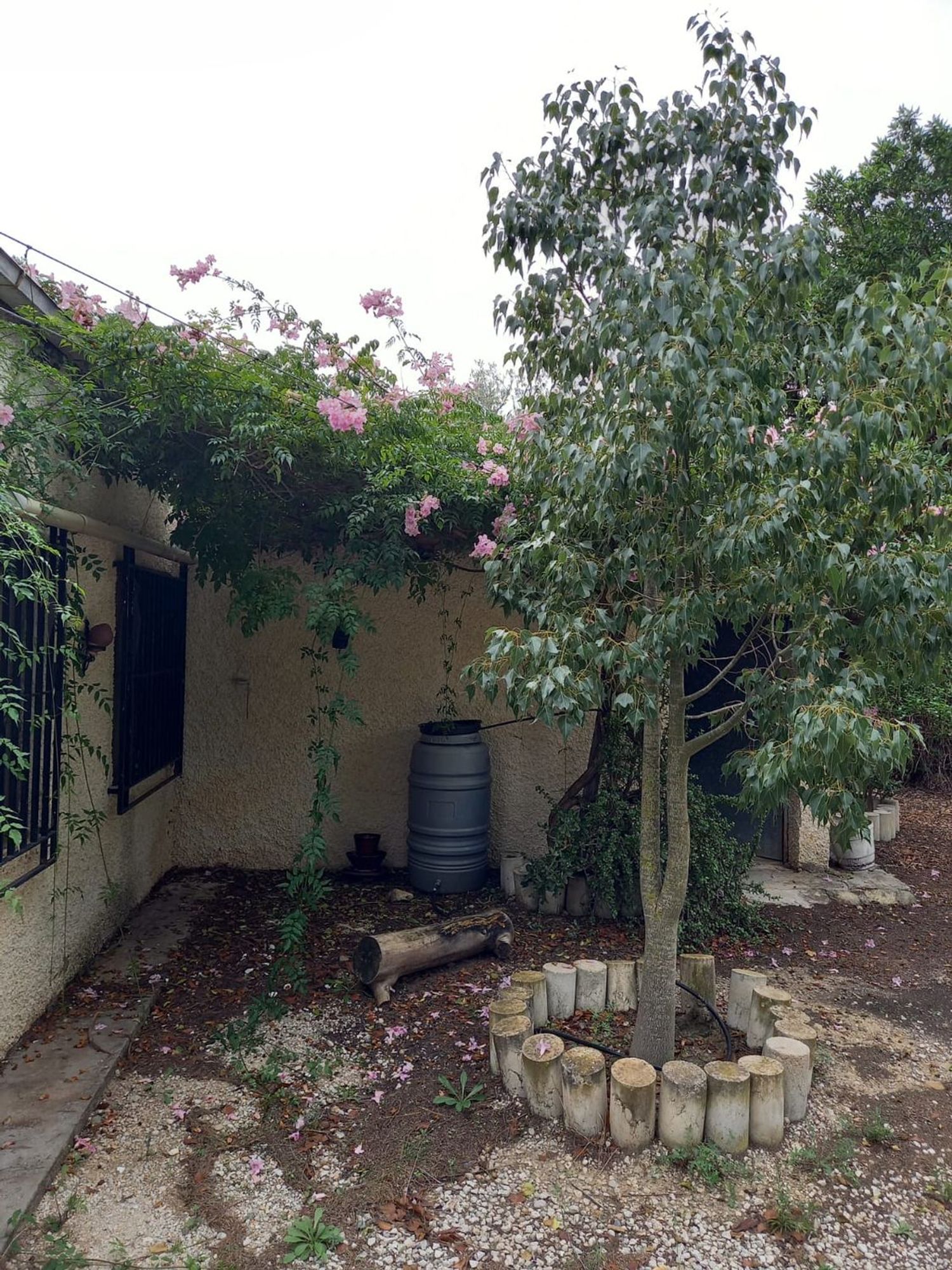 Finca rústica en carretera Puerto del Garruchal s/n - Foto 5