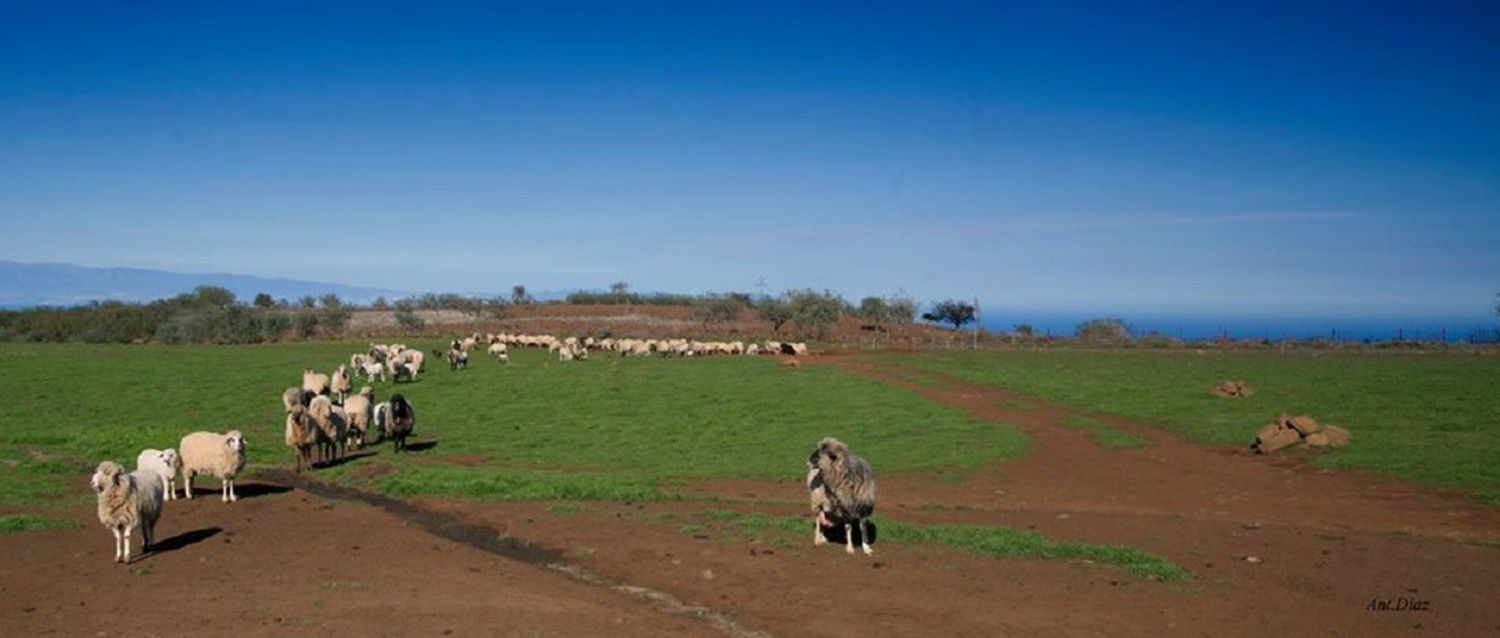Casa rural en Camino Palominos Fagagesto s/n, Saucillo-Fagajesto-Juncalillo, Saucillo-Fagajesto-Juncalillo - Foto 25