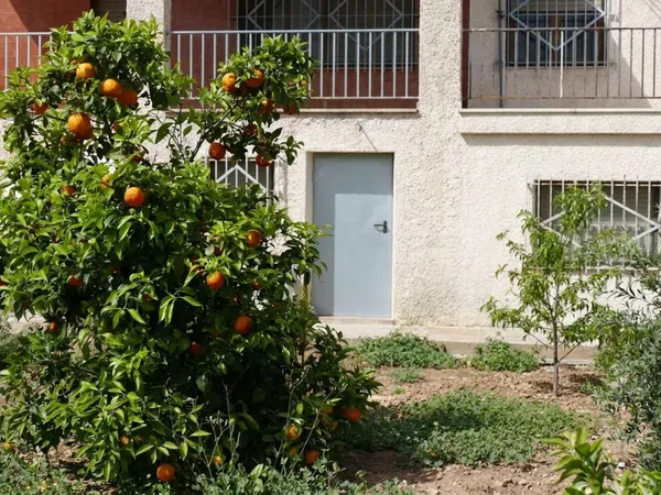 Casa o chalet independiente en El Altet - Balsares, El Altet - Balsares - Foto 35
