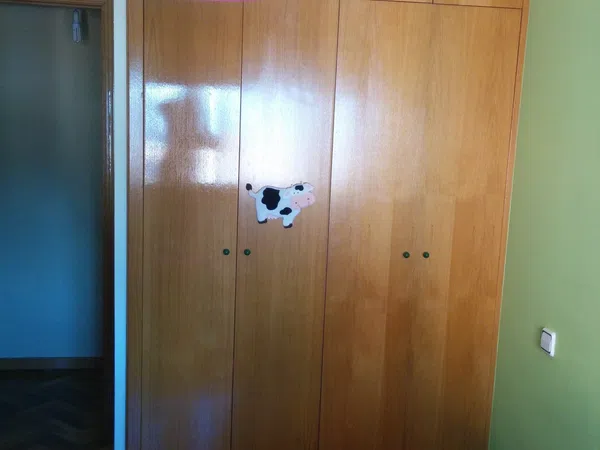 Piso en Avenida Roma, 4, HUCA-La Cadellada - Foto 10