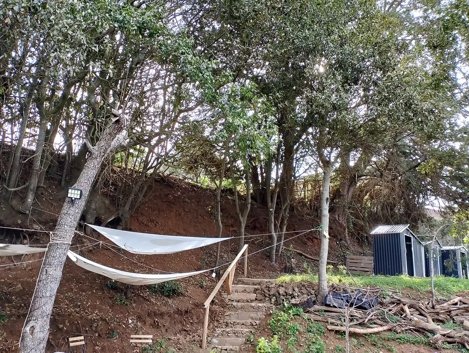 Finca rústica en camino el Laurel, 5555 - Foto 14
