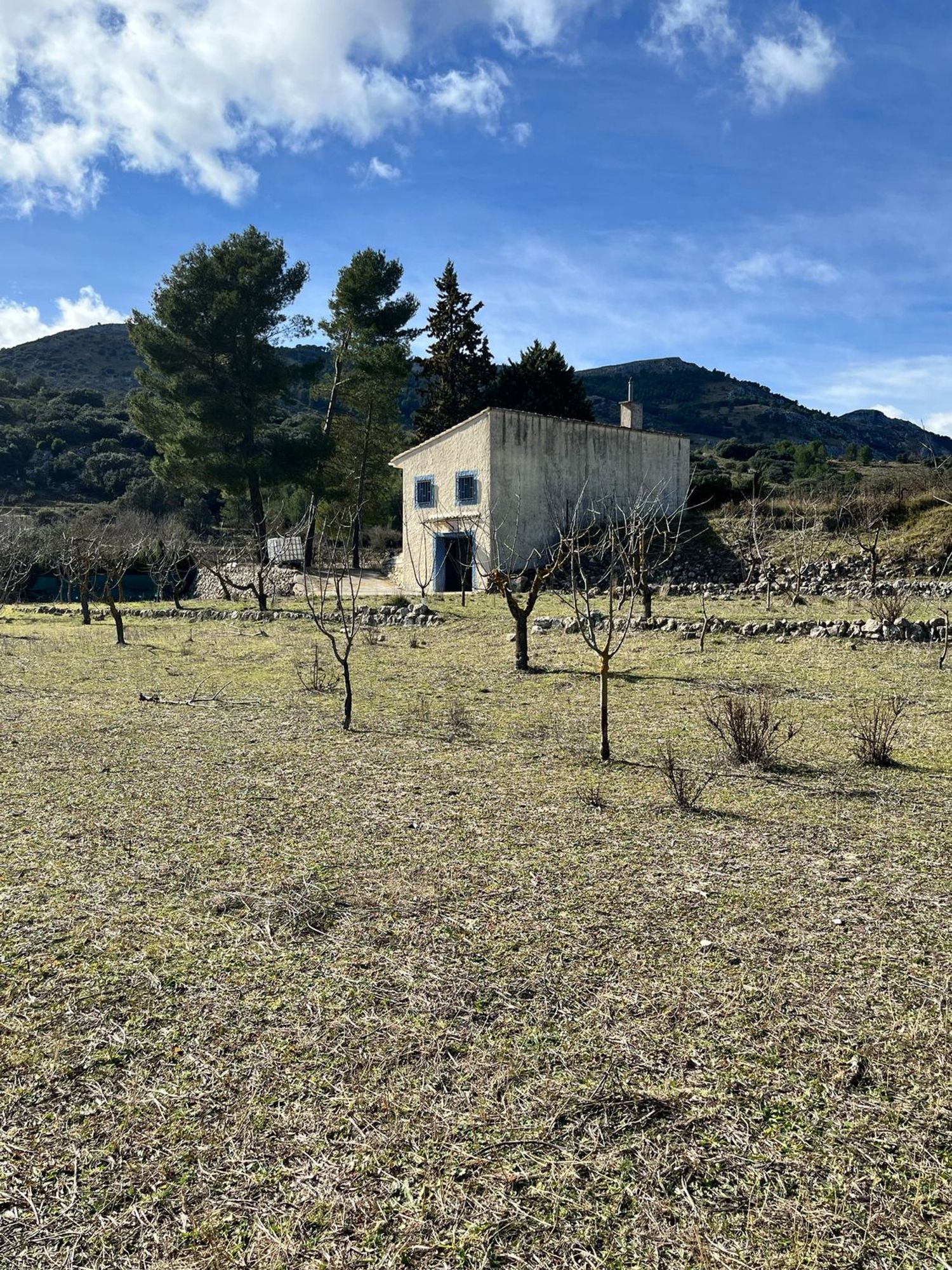 Finca rústica en Cv-752 s/n - Foto 8