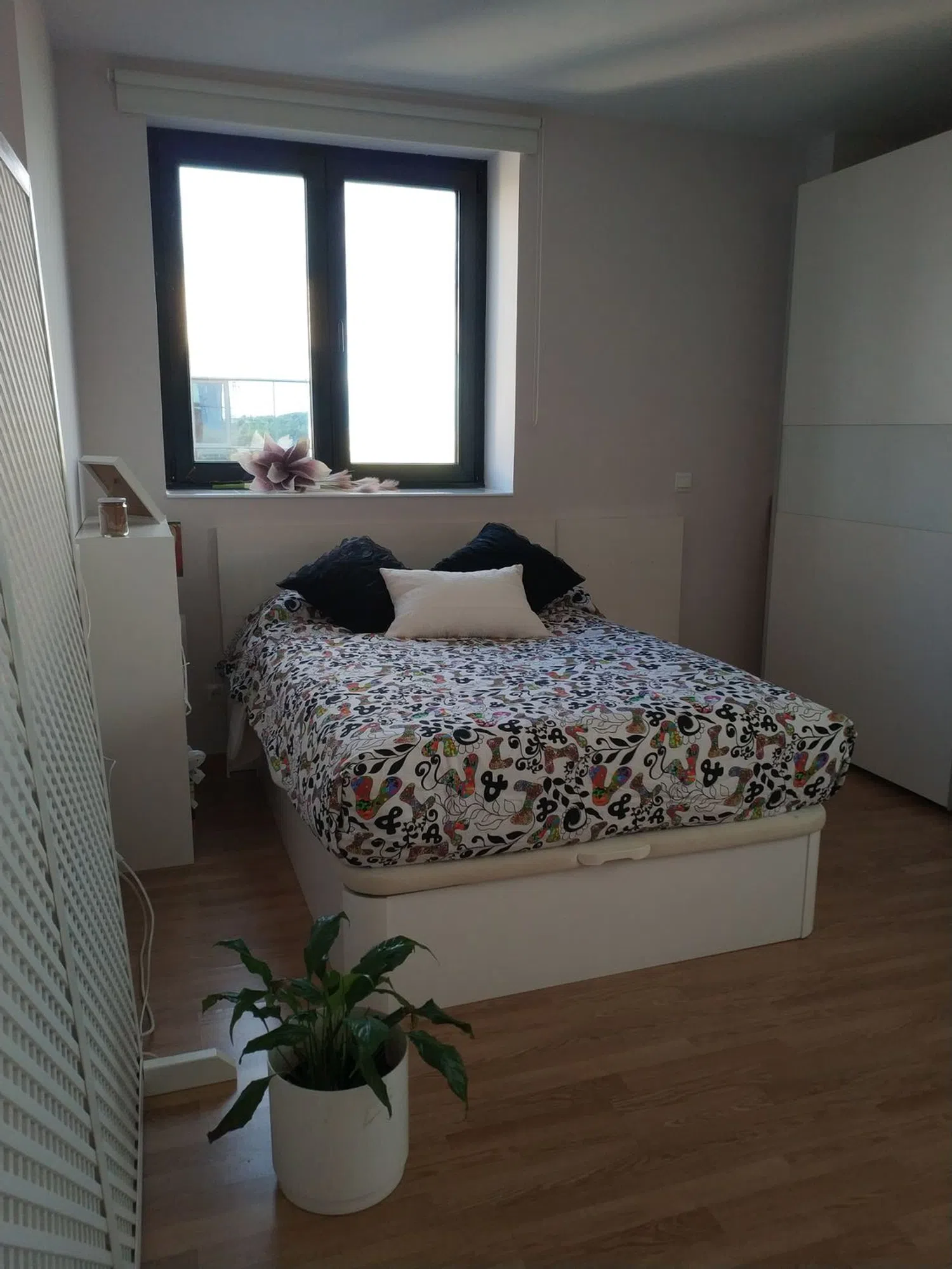 Estudio en puente Cultural, 6 - Foto 7