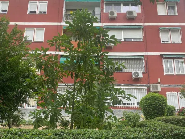 Piso en calle de la Hacienda de Pavones, 72