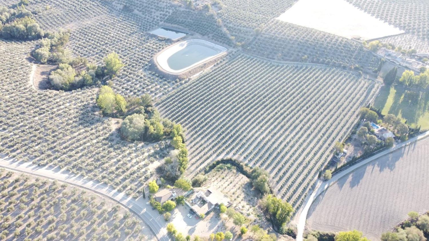 Finca rústica en (37.9553589, -3.0426268), 124 - Foto 4