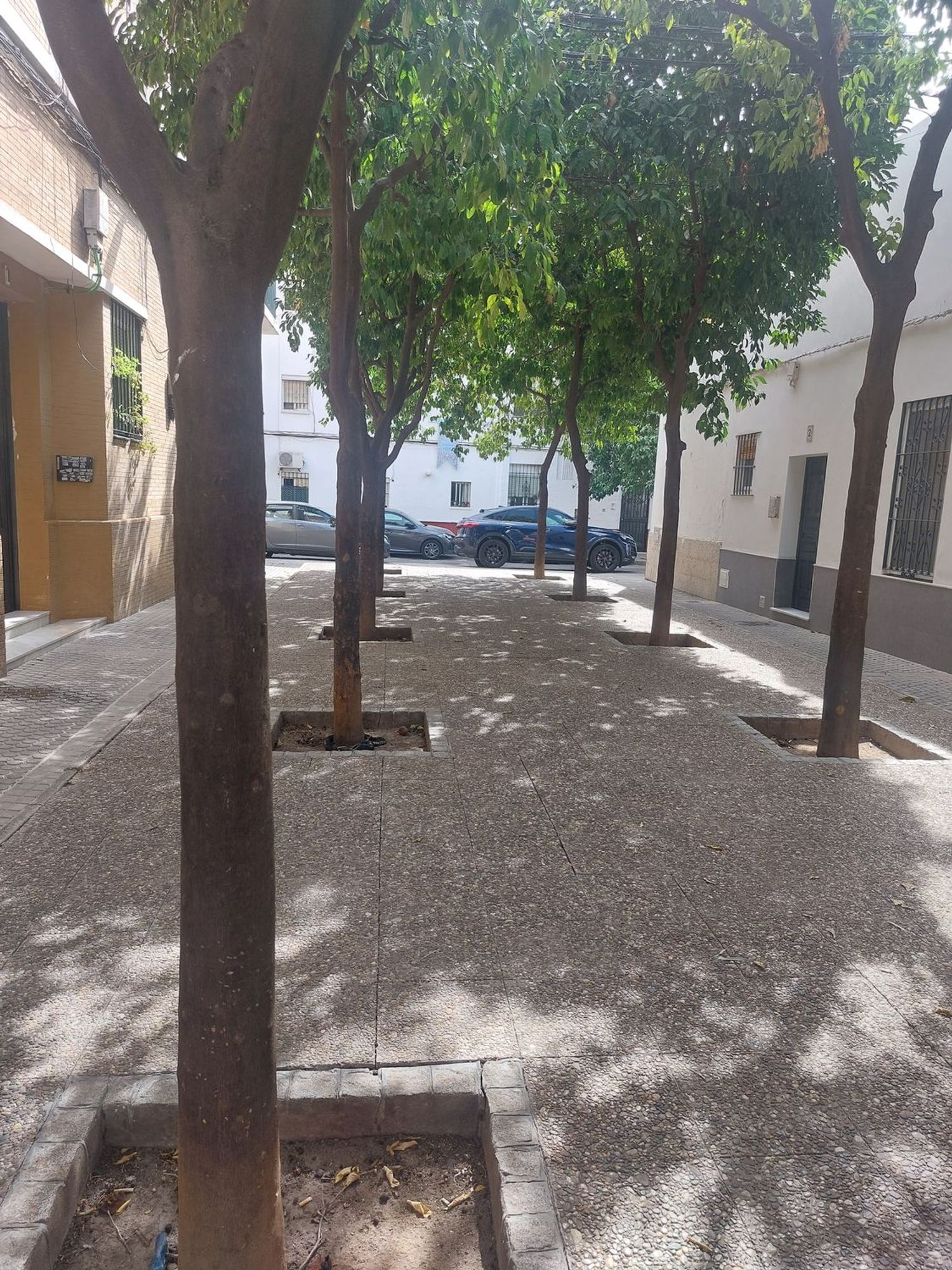 Ático en Narciso monturiol, 1, Tiro de Línea - Foto 5