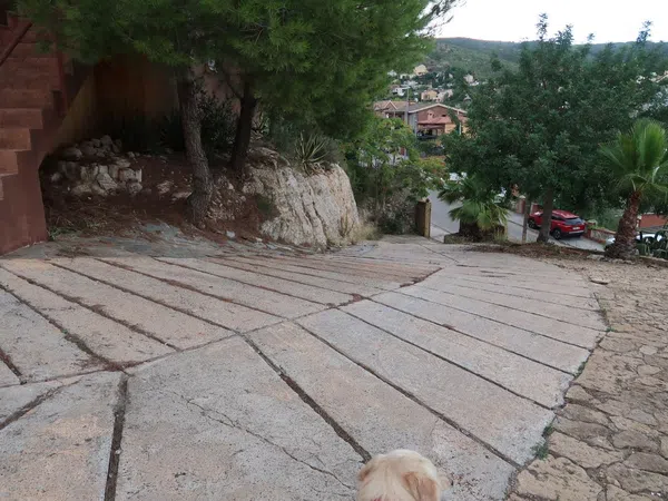 Casa o chalet independiente en Avenida dels Països Catalans, 45 - Foto 10