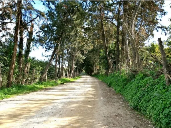 Piso en Diseminado Chaparral, 280 - Foto 2