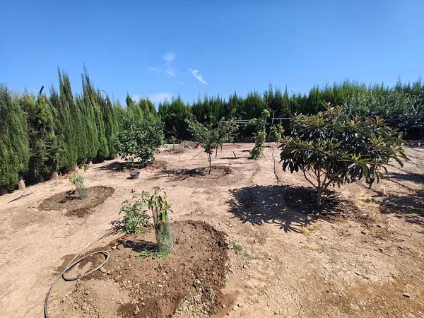 Finca rústica en Camino de Almarda, 11, Centro - El Castillo, Centro - El Castillo - Foto 17