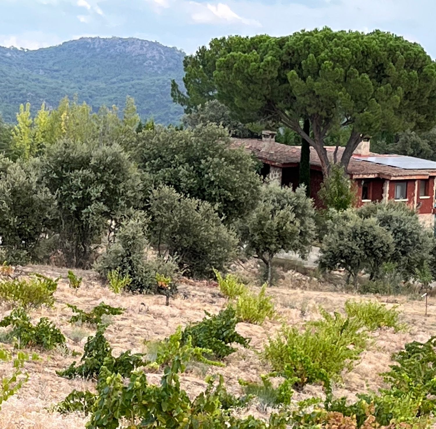 Casa rural en Calle Calas de Guisando s/n - Foto 2