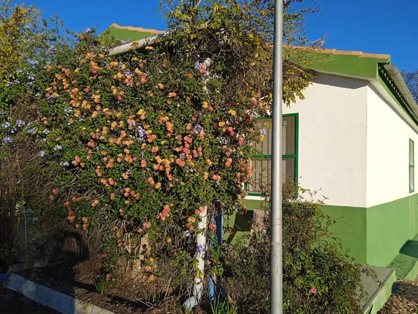 Casa rural en Extramuros Diseminado, 404 - Foto 26