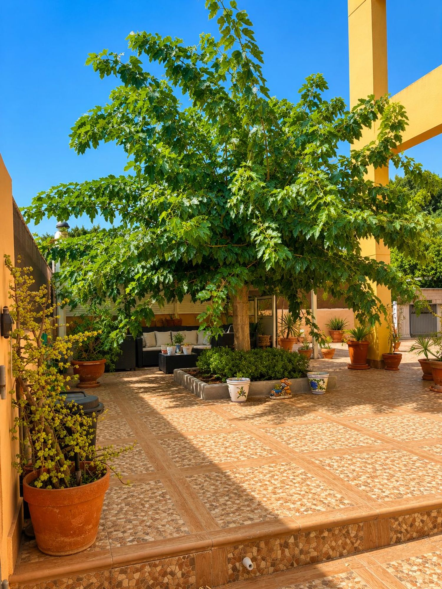 Casa o chalet independiente en Calle Félix Martí Alpera, 12, Ciudad Jardín - Foto 37