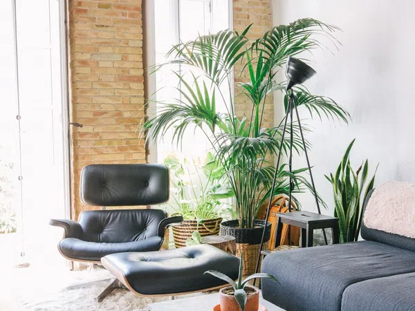 Dúplex en calle de Francesc Eiximenis, 79 - Foto 2