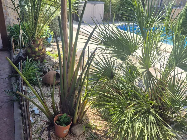 Casa o chalet independiente en Urbanización Lago del Jaral, 245 - Foto 25