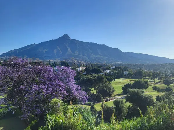 Ático en avenida Prado s/n - Foto 25