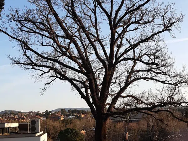 Casa independiente en Can Matas - Foto 10