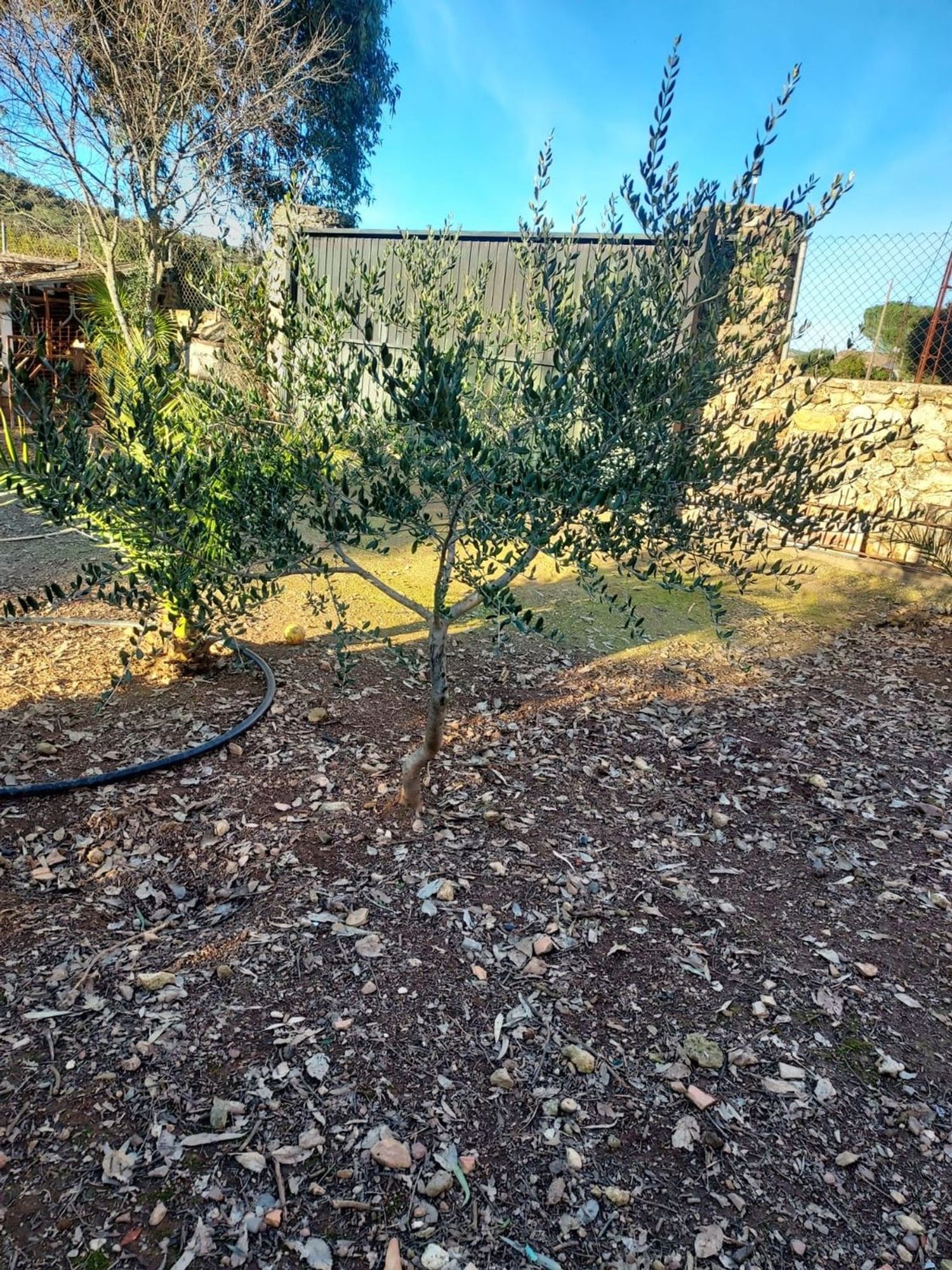Finca rústica en Cañada Real Soriana, 12 - Foto 9
