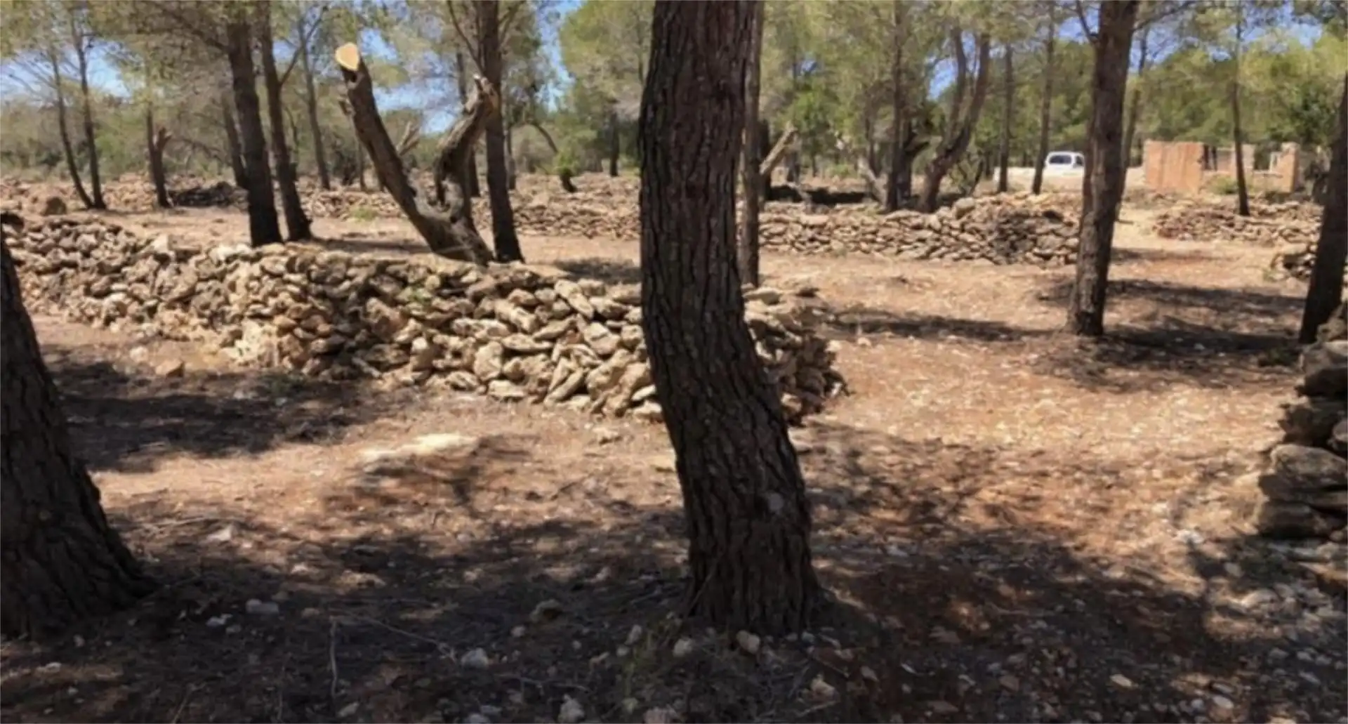 Finca rústica en  Passeig de I'Almadrava 13 - Foto 13