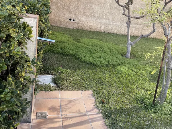 Piso en Calle Ifach, 6, Arenales del Sol, Arenales del Sol - Foto 22