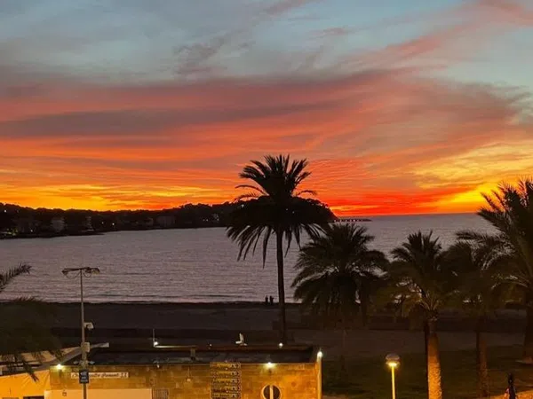 Estudio en Gran Via Puig de Galatzó, 18 - Foto 4
