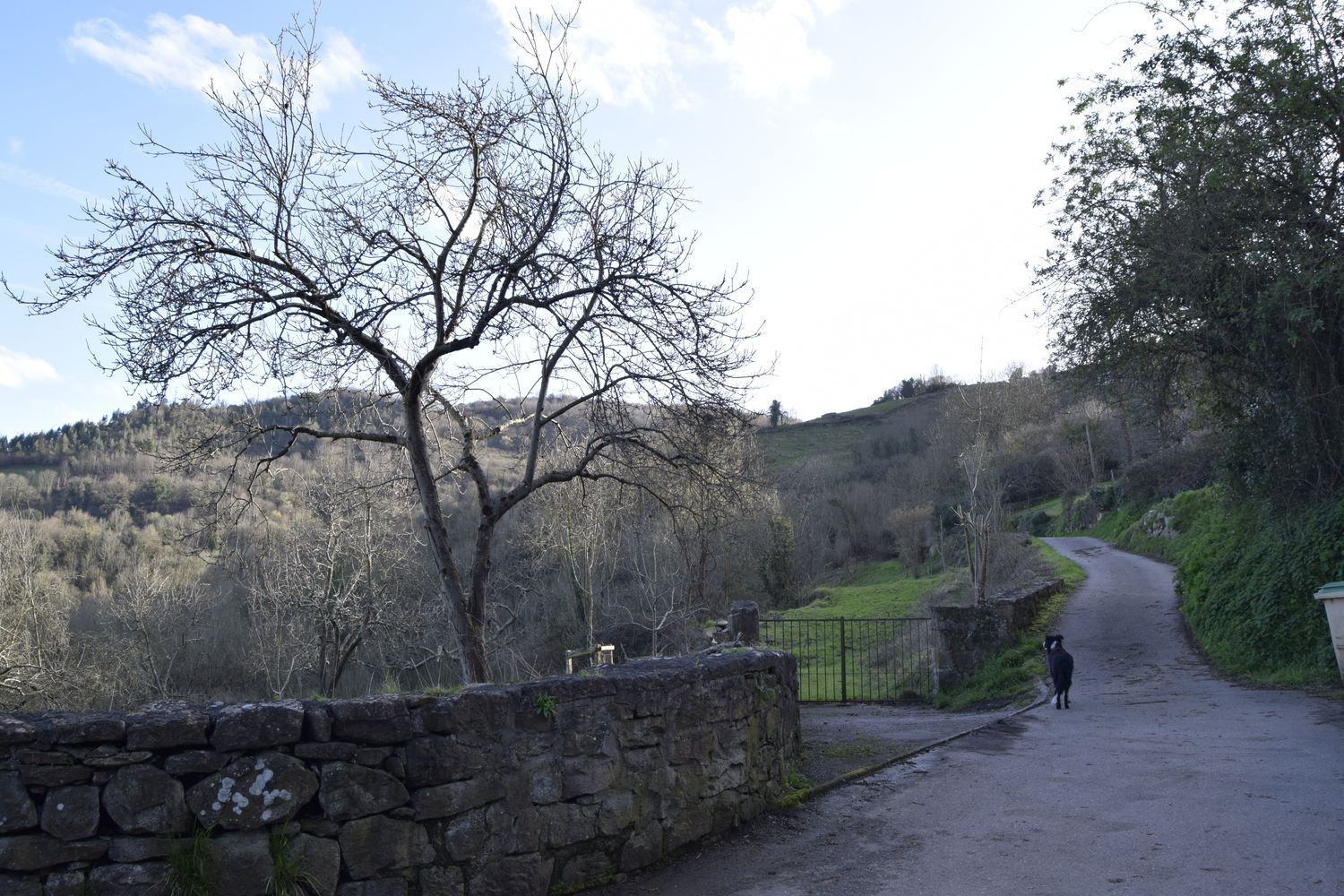 Casa de pueblo en Aldea las Cuestas, 57, San Claudio-Trubia-Las Caldas, San Claudio-Trubia-Las Caldas - Foto 3