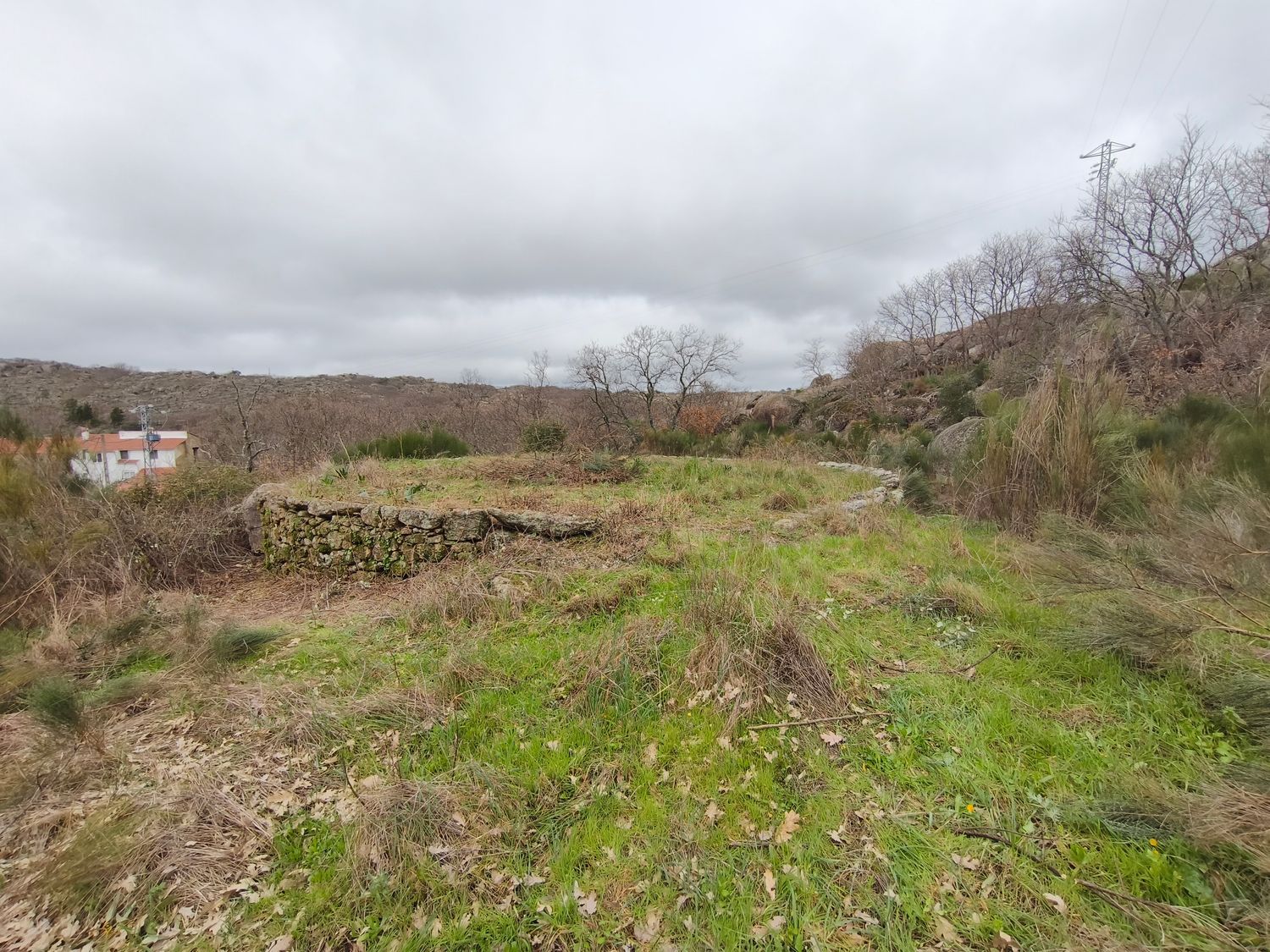 Finca rústica en Poblado los Arroyos de Abajo, 39 poligonoparcela - Foto 29