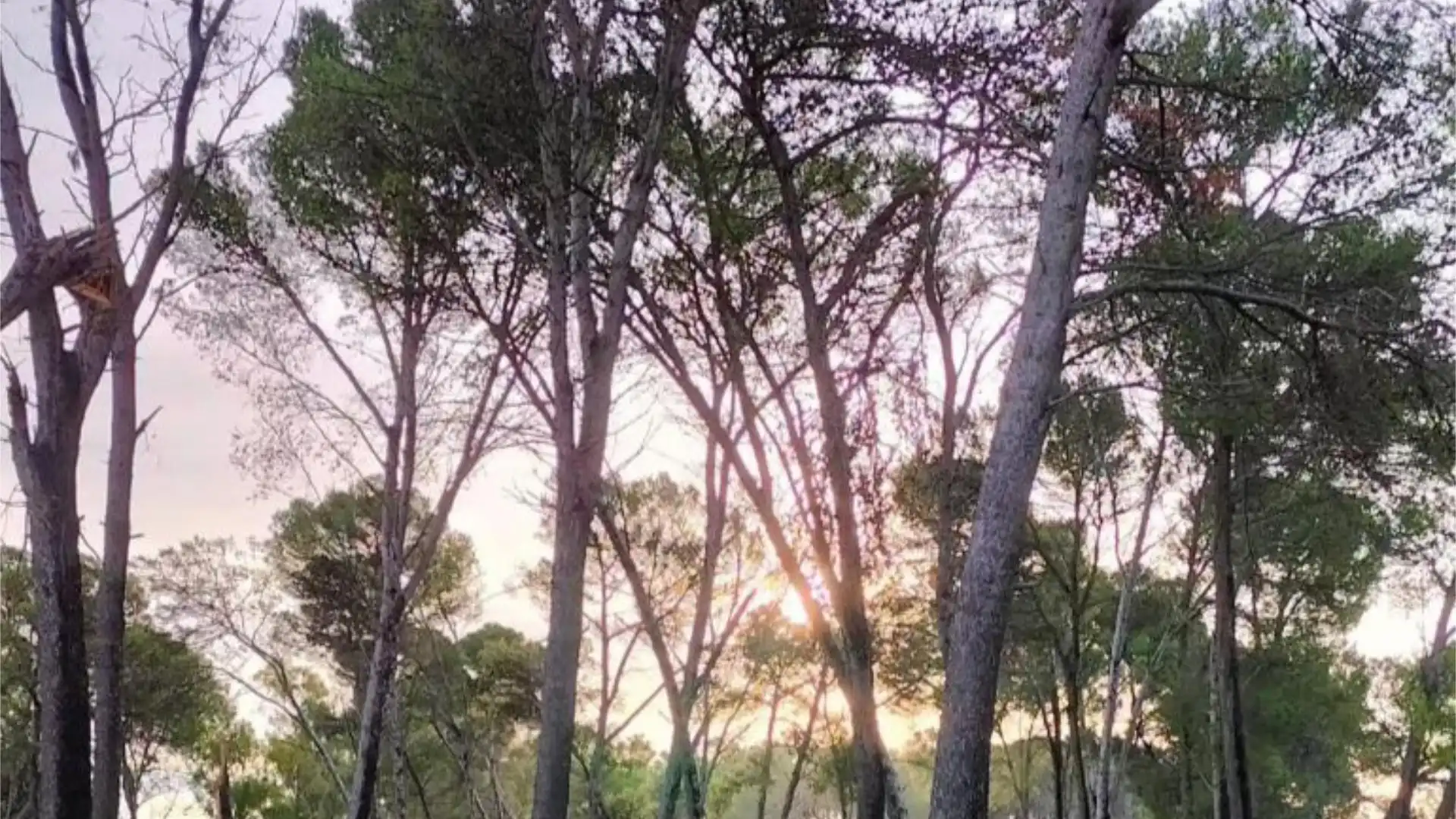 Casa adosada en  Calle de la Hijuela 19 - Foto 38