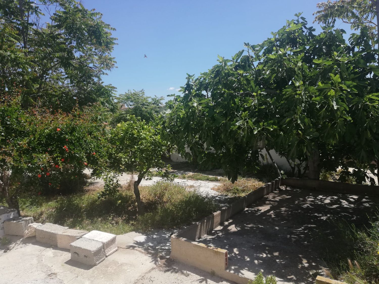 Casa de pueblo en Diseminado los Alias, 7 - Foto 4