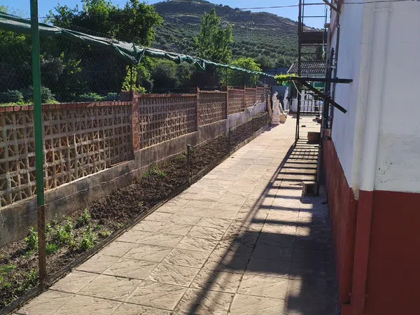 Casa o chalet independiente en Pago de la Fraila & Comunidad Los Chopos s/n - Foto 11