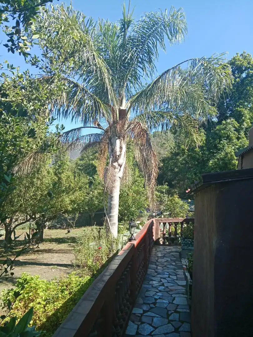 Chalet en  Lugar Mamio 1 - Foto 2