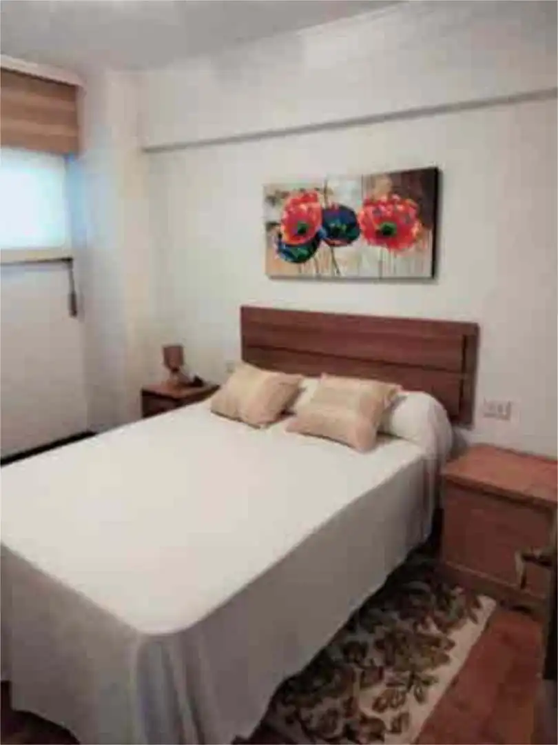 Apartamento en Centro - Foto 5