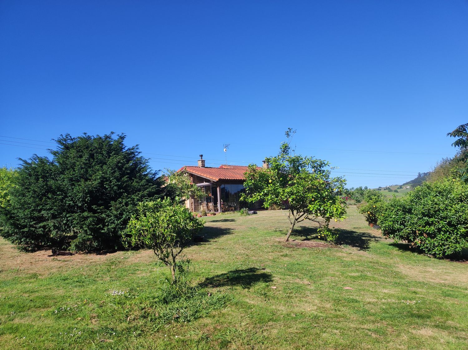 Casa o chalet independiente en Carretera de la Granda, 305, Bocines - Nembro - Cardo, Bocines - Nembro - Cardo - Foto 30