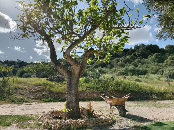 Casa rural en Camino de ses Rotes de sa Canova, 15 - Foto 1