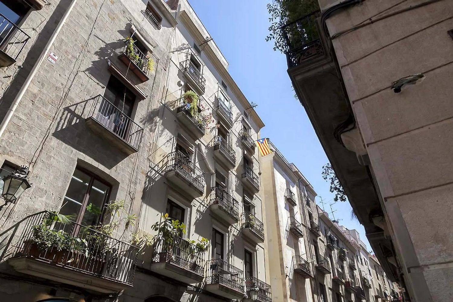 Piso en Calle dels Carders, 16, Sant Pere - Santa Caterina i la Ribera - Foto 37