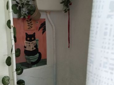 Planta baja en  Calle San José 14 - Foto 7