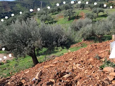 Finca rústica en  Diseminado el Cerval Pol 15 34B - Foto 9