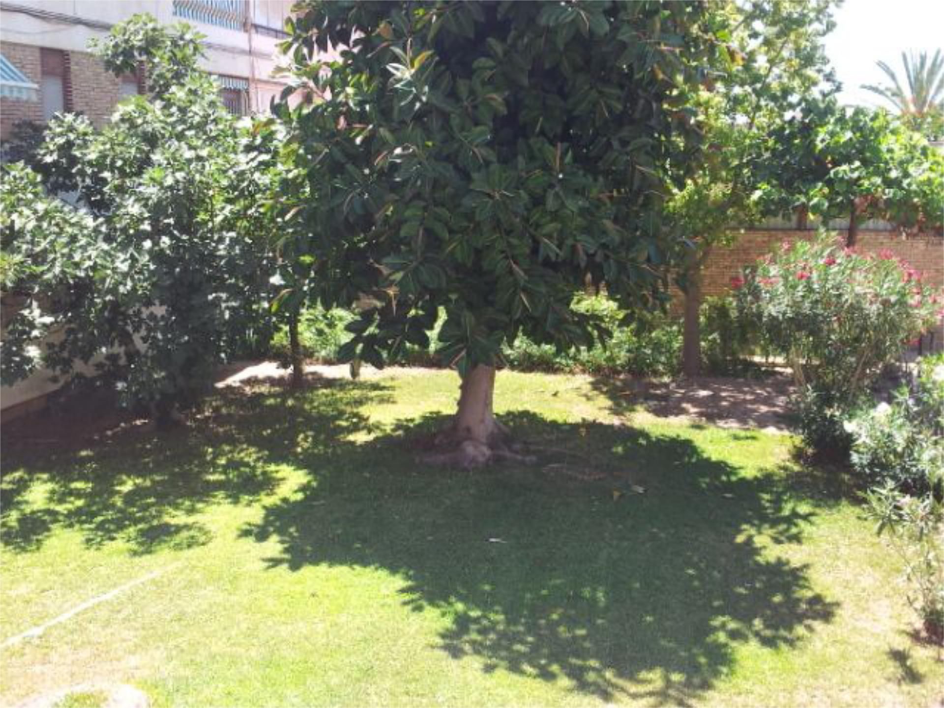 Piso en  Calle Pintor Antonio Amorós 1 - Foto 17