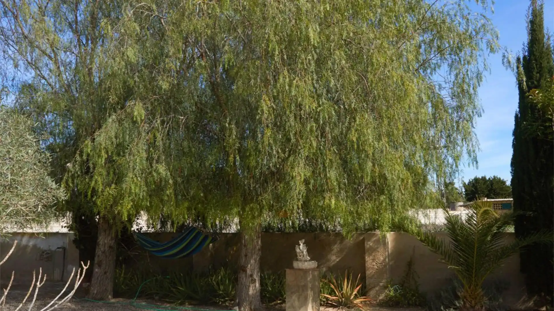 Chalet en  Partida Daimes 216 - Foto 75